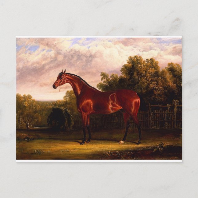 Cartão Postal Negociador (Frente)