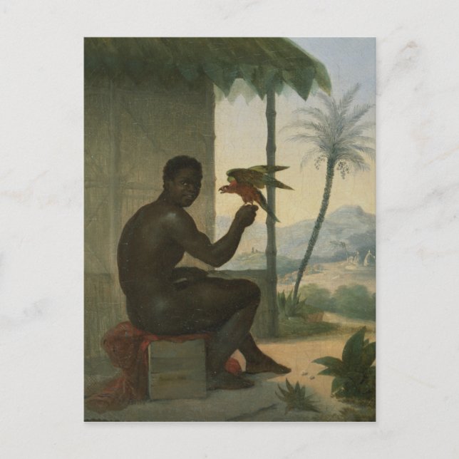 Cartão Postal Negro brasileiro com pássaro tropical (Frente)