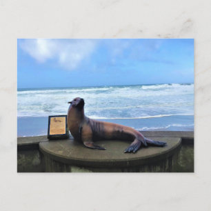 Cartão Postal Nelscott Reef, Lincoln City, Oregon