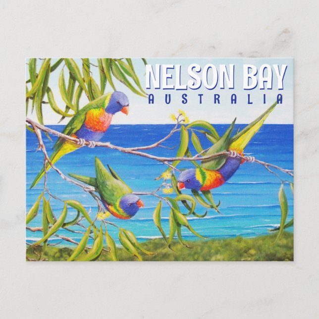 Cartão Postal Nelson Bay Austrália Birds Lorikeet Beach Painting (Frente)
