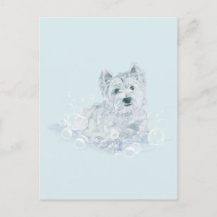 Cartão Postal Nem Outro Banho