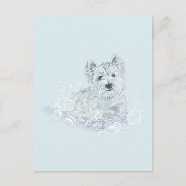 Cartão Postal Nem Outro Banho (Frente)