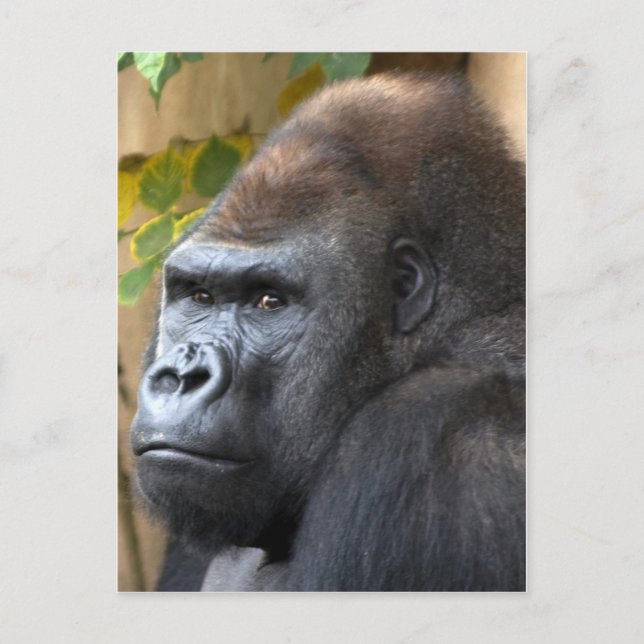 Cartão Postal Nem pense... (Frente)