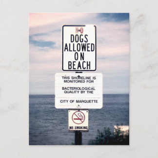Cartão Postal Nenhum Cachorro Permitido Na Praia