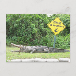 Cartão Postal Nenhuma natação!