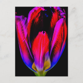 Cartão Postal Neon Glow Tulip