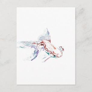 Cartão Postal Neon Multicolor Rainbow Fish/Goldfish/Koi