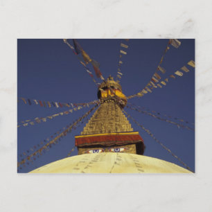 Cartão Postal Nepal, Kathmandu. Under prayer flags, watchful