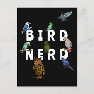 Cartão Postal NERD DE PÁSSAROS, papagaios, coruja, pombos, kooka