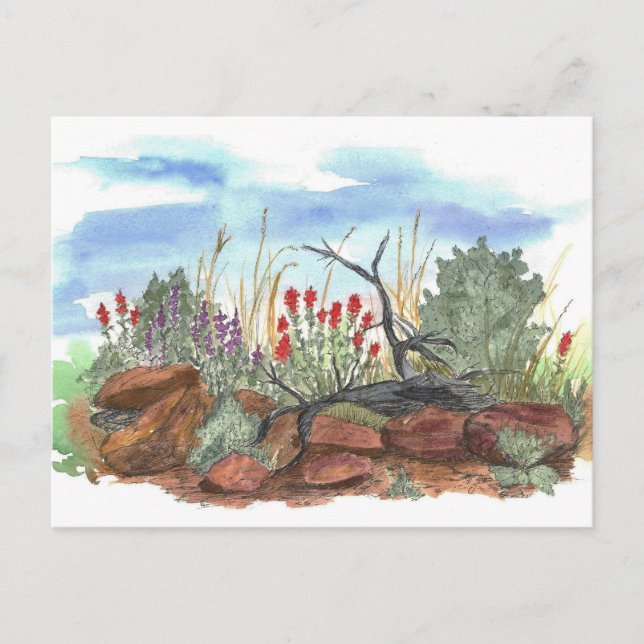 Cartão Postal Nevada Desert Indian Paintbrush Watercolor (Frente)