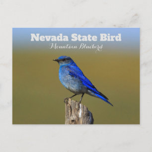 Cartão Postal Nevada State Bird