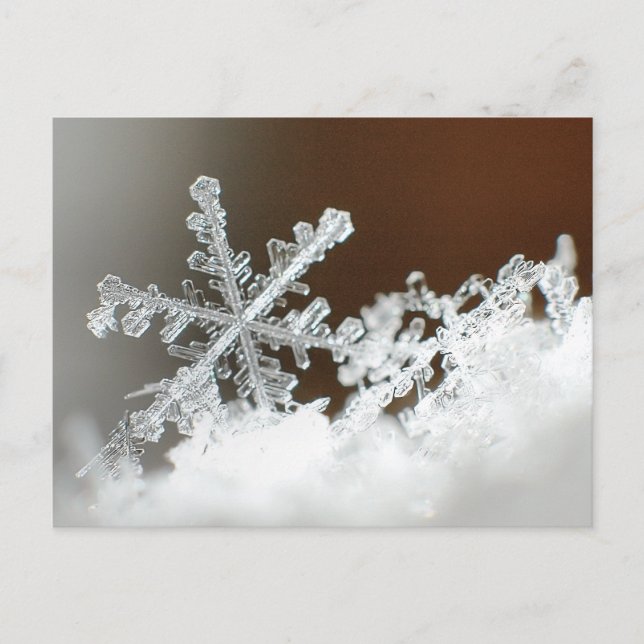 Cartão Postal Nevasca de 2009 (Frente)