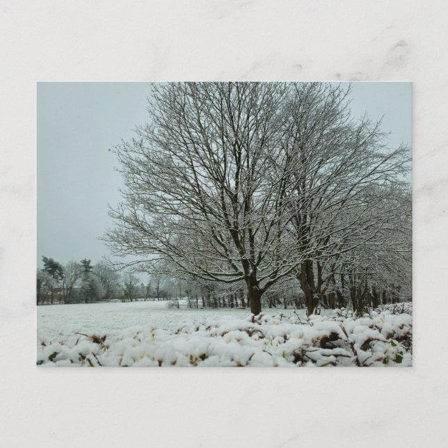 Cartão Postal Neve (Frente)
