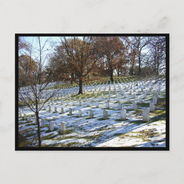 Cartão Postal neve de arlington (Frente)
