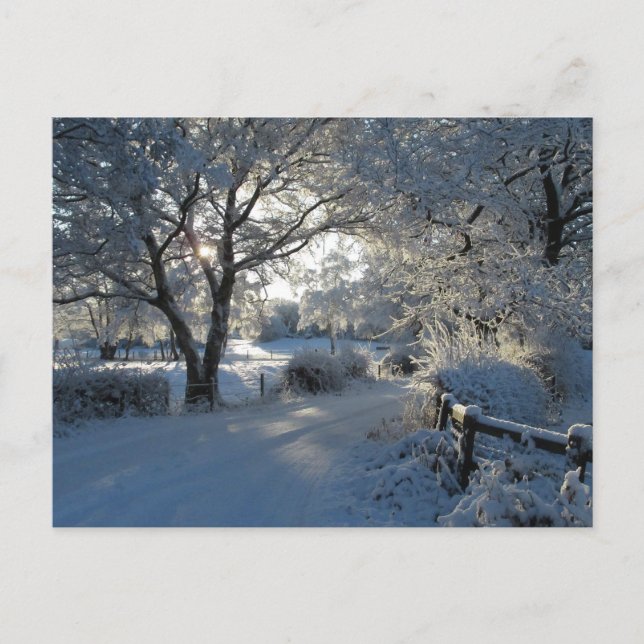 Cartão Postal Neve de Inverno (Frente)