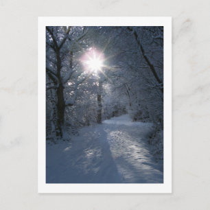 Cartão Postal Neve e Luz
