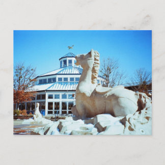 Cartão Postal Neve em Coolidge