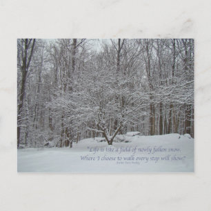 Cartão Postal Neve em Dogwood Tree Cote Denis Waitley