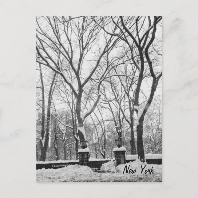 Cartão Postal Neve em Nova Iorque (Frente)