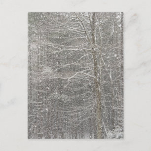 Cartão Postal Neve em queda