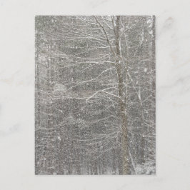 Cartão Postal Neve em queda