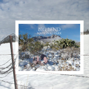 Cartão Postal Neve nas Montanhas Chisos, Grande Dobro