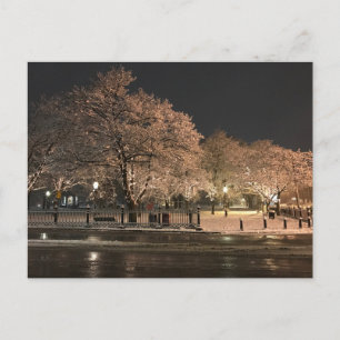 Cartão Postal Neve Noturna Salem Common Massachusetts Foto