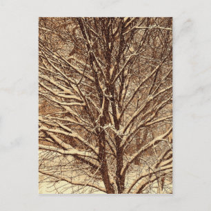 Cartão Postal Neve Sépia