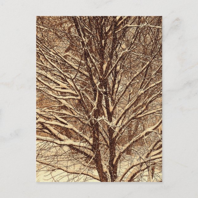 Cartão Postal Neve Sépia (Frente)