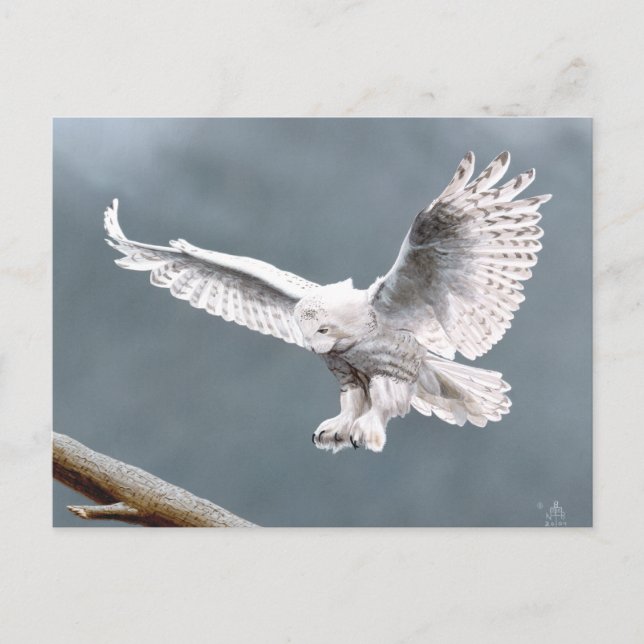 Cartão Postal Neves (Frente)