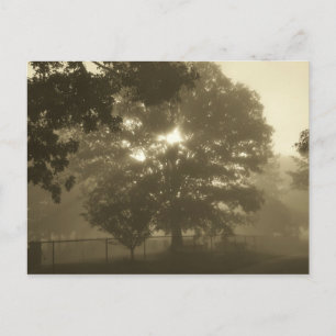 Cartão Postal Névoa da Manhã