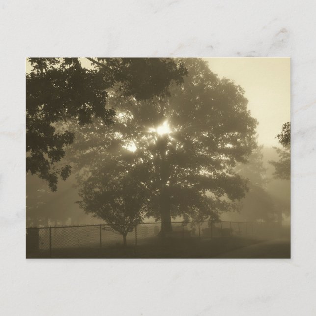 Cartão Postal Névoa da Manhã (Frente)