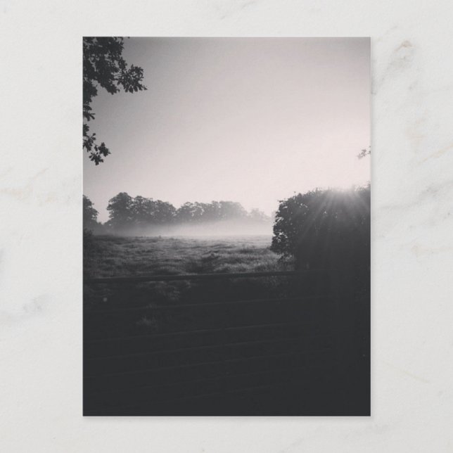 Cartão Postal Nevoeiro matinal e sol baixo no campo quando gota (Frente)
