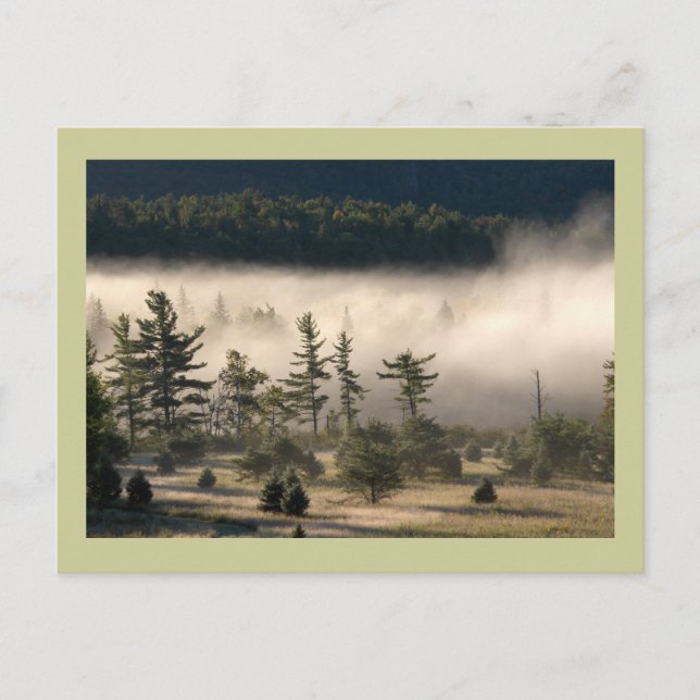 Cartão Postal Nevoeiro matinal nos Adirondacks (Frente)