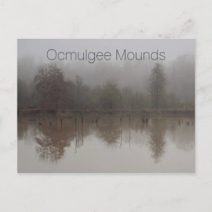 Cartão Postal Nevoeiro nas zonas úmidas de Walnut Creek, montes