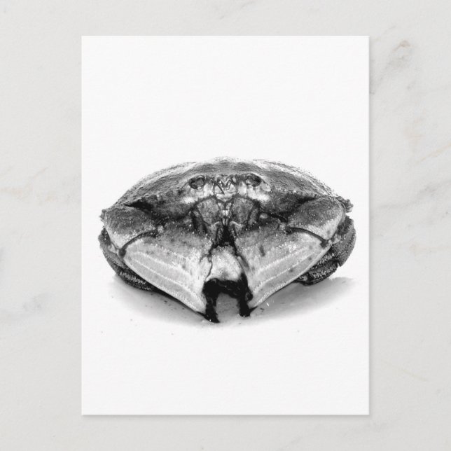 Cartão Postal New England Rock Crab I (Frente)