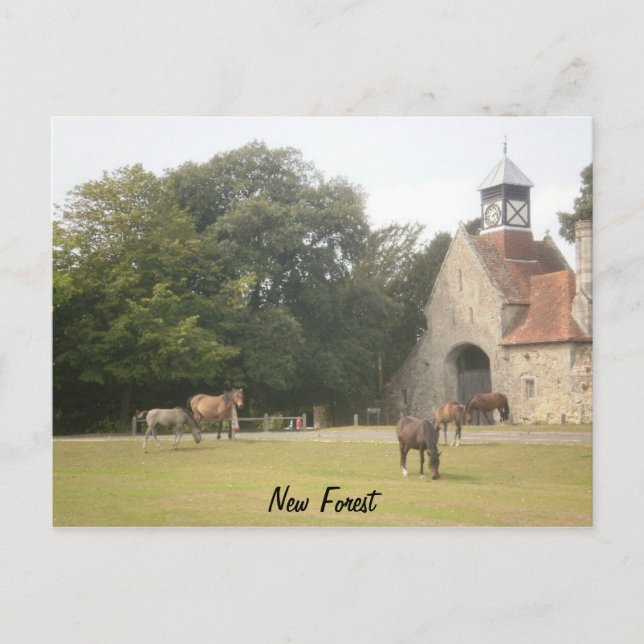 Cartão Postal New Forest Hampshire (Frente)