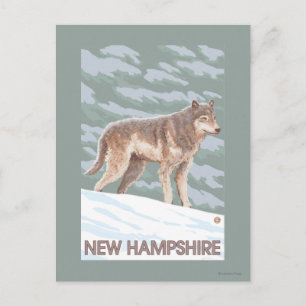 Cartão Postal New HampshireWolf Scene