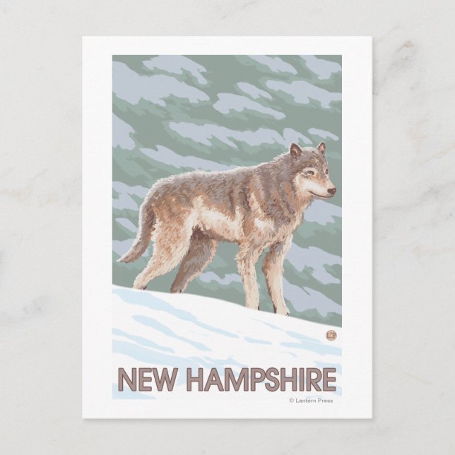 Cartão Postal New HampshireWolf Scene (Frente)