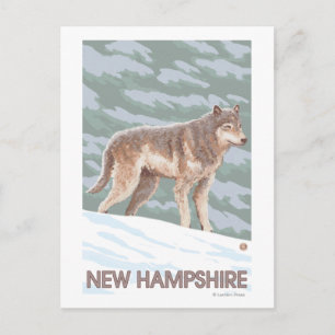 Cartão Postal New HampshireWolf Scene