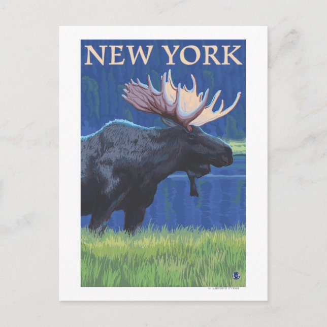 Cartão Postal New YorkMoose no Luar (Frente)