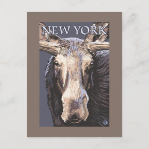 Cartão Postal New YorkMoose Up Close