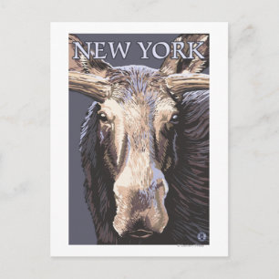 Cartão Postal New YorkMoose Up Close