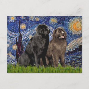 Cartão Postal Newfie Pair - Noite Estrelada