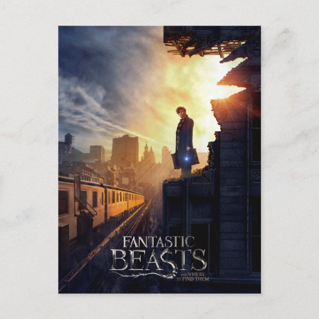 Cartão Postal NEWT SCAMANDER™ no edifício destruído (Frente)
