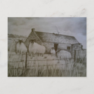 Cartão Postal Newtowncrommelin Sheep, County Antrim, Norte Ir