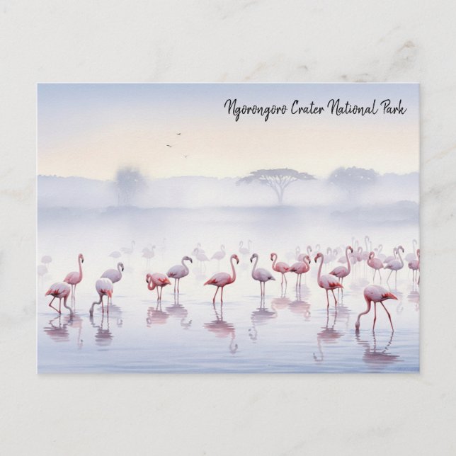 Cartão Postal Ngorongoro Tanzania Flamingos (Frente)