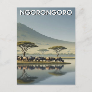 Cartão Postal Ngorongoro Tanzânia Gnus
