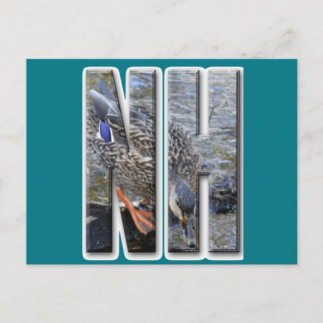 CARTÃO POSTAL NH NOVO HAMPSHIRE (Frente)