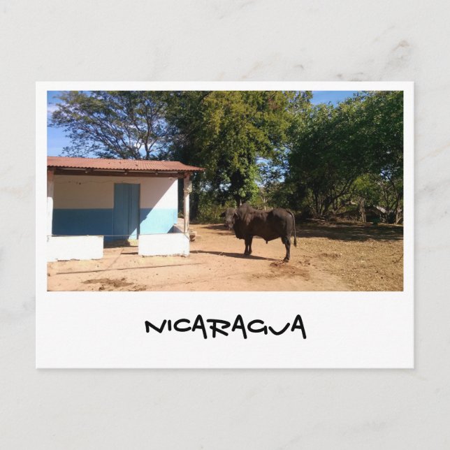 Cartão Postal Nicarágua (Frente)